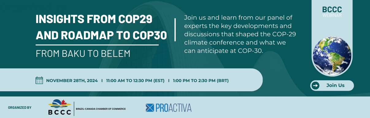 Insights from COP29 and Roadmap to COP30